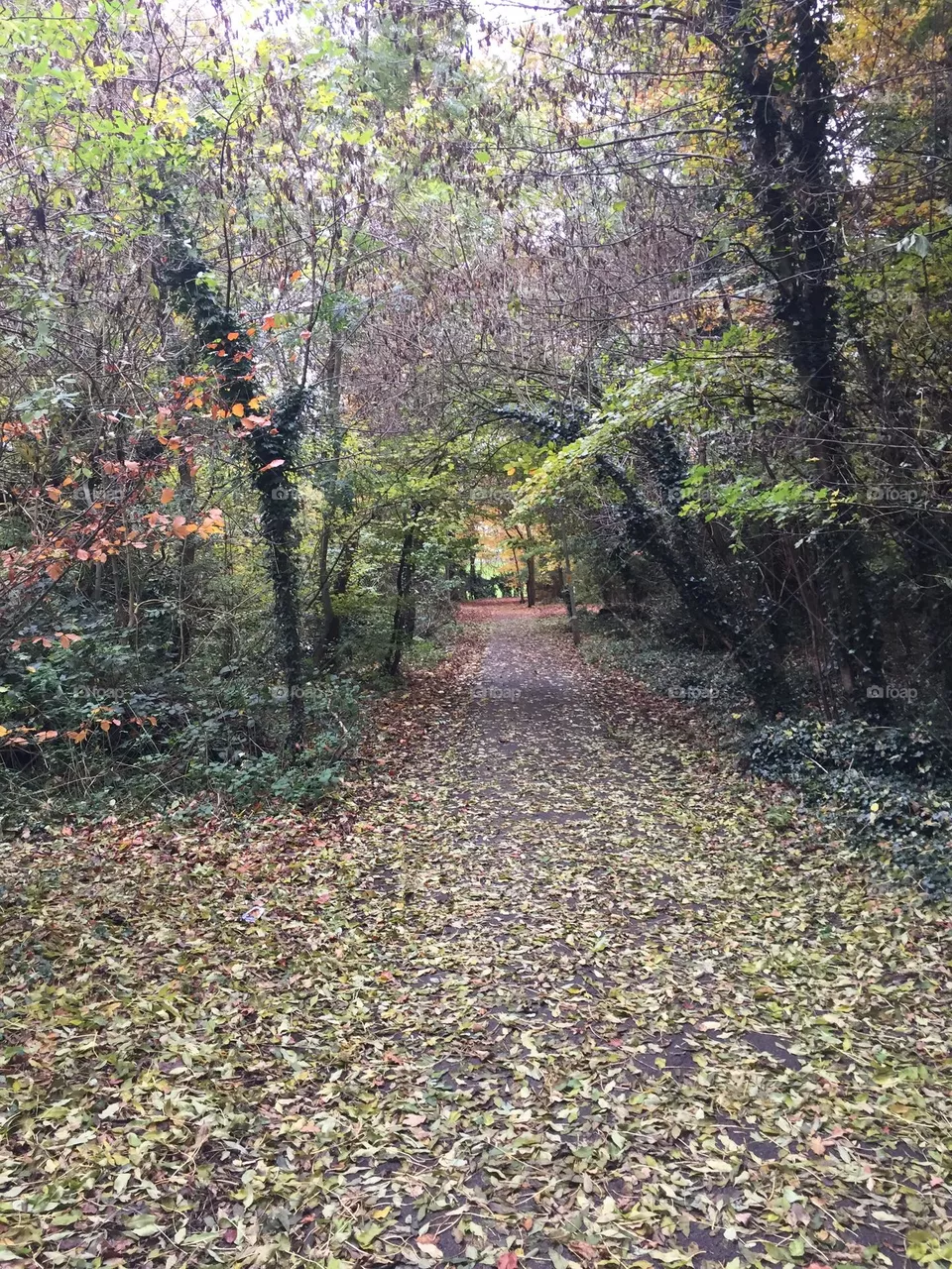 Nature