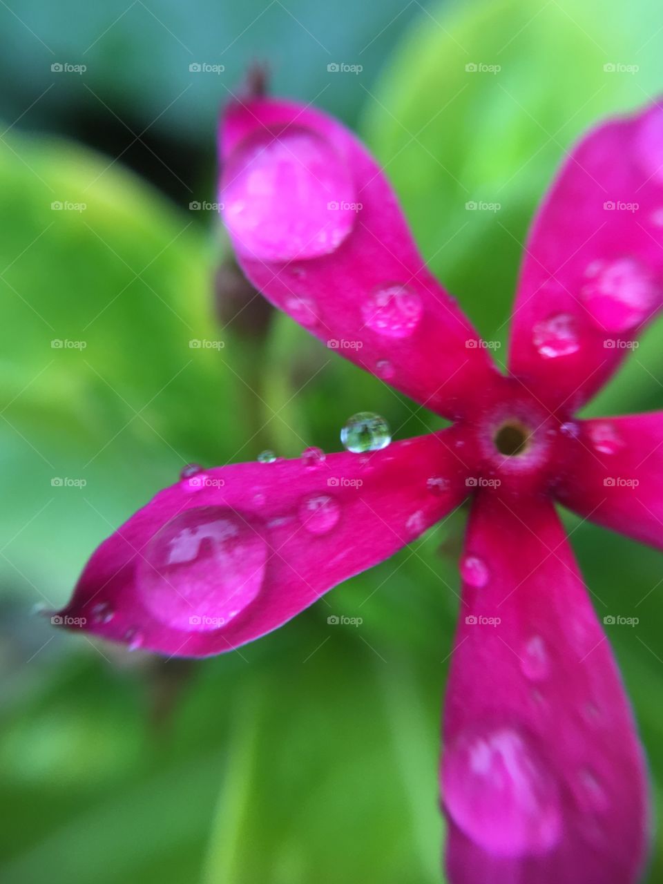 Rain drops