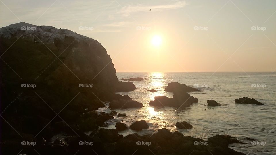 Sunset ocean rocks