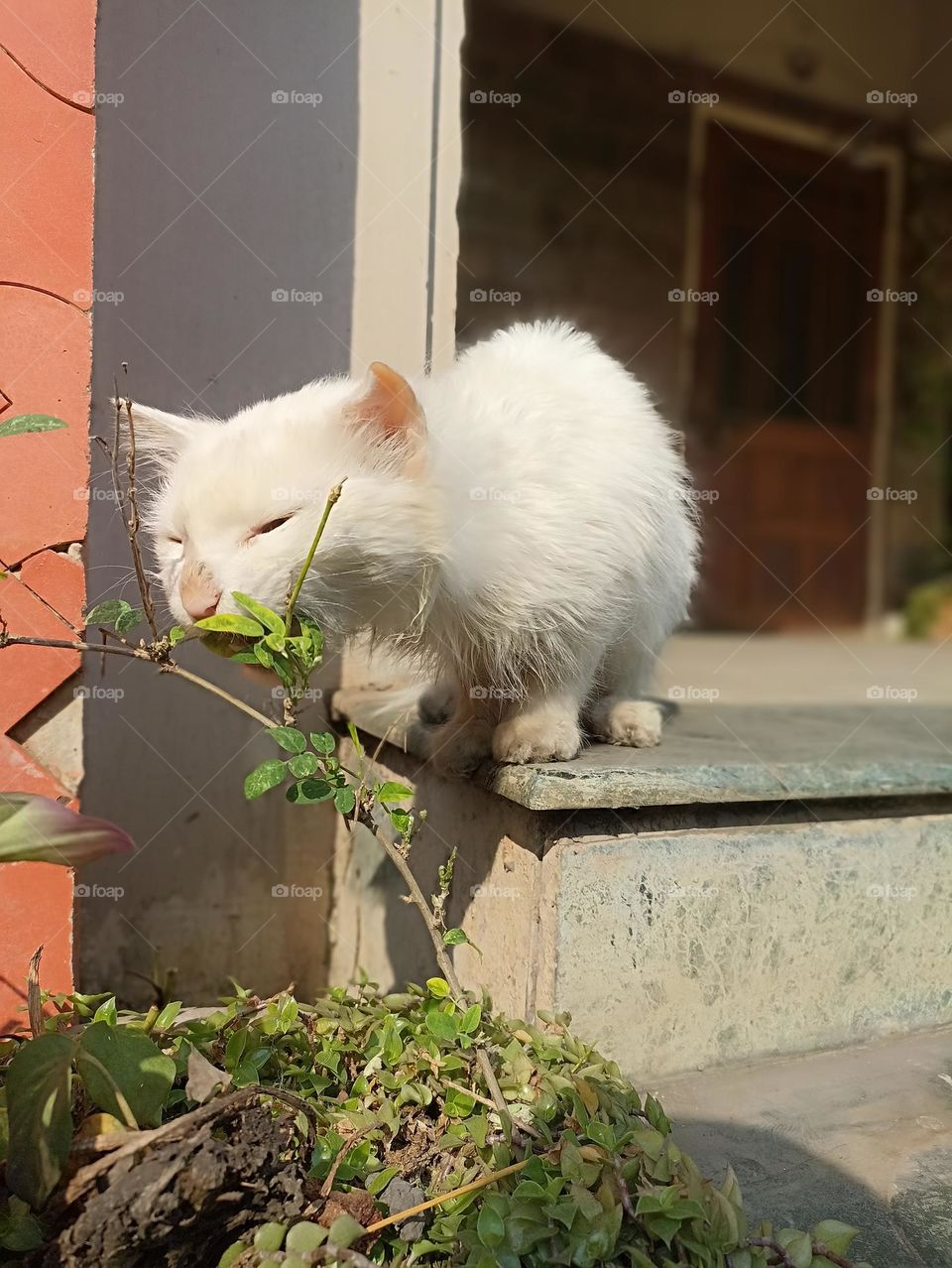 brushing my teeth is very necessary