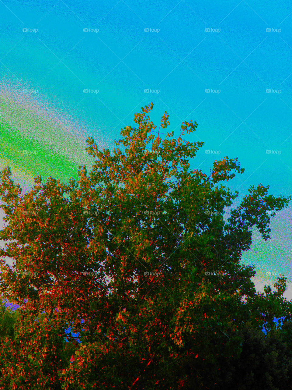 Summer landscape with a colorful tree and a degraded sky background.