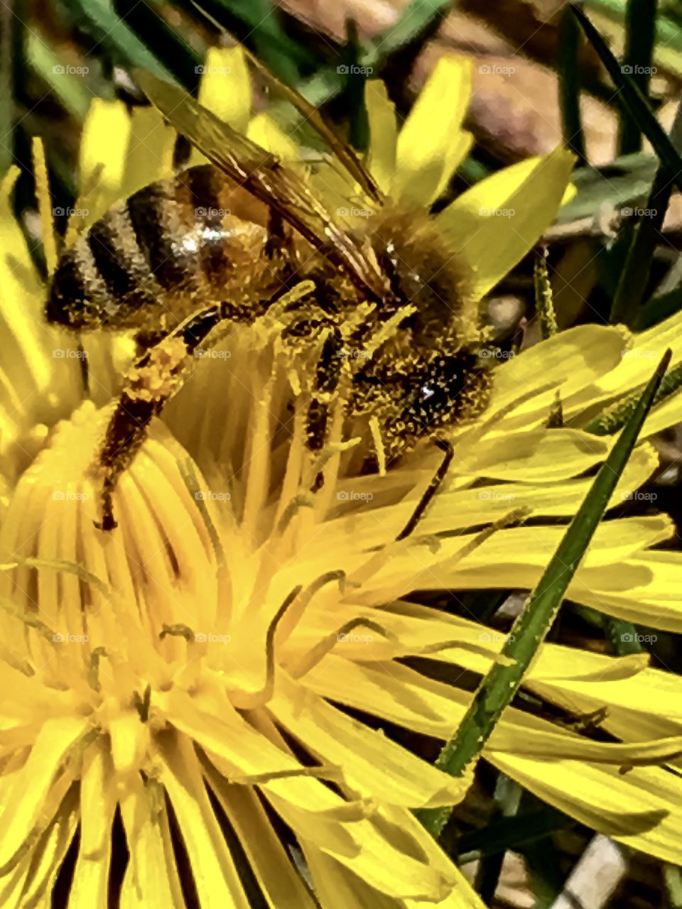 It’s the Little Things 