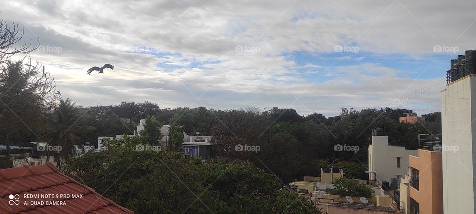 "The biggest favour you can do to yourself is fly freely like bird🦅