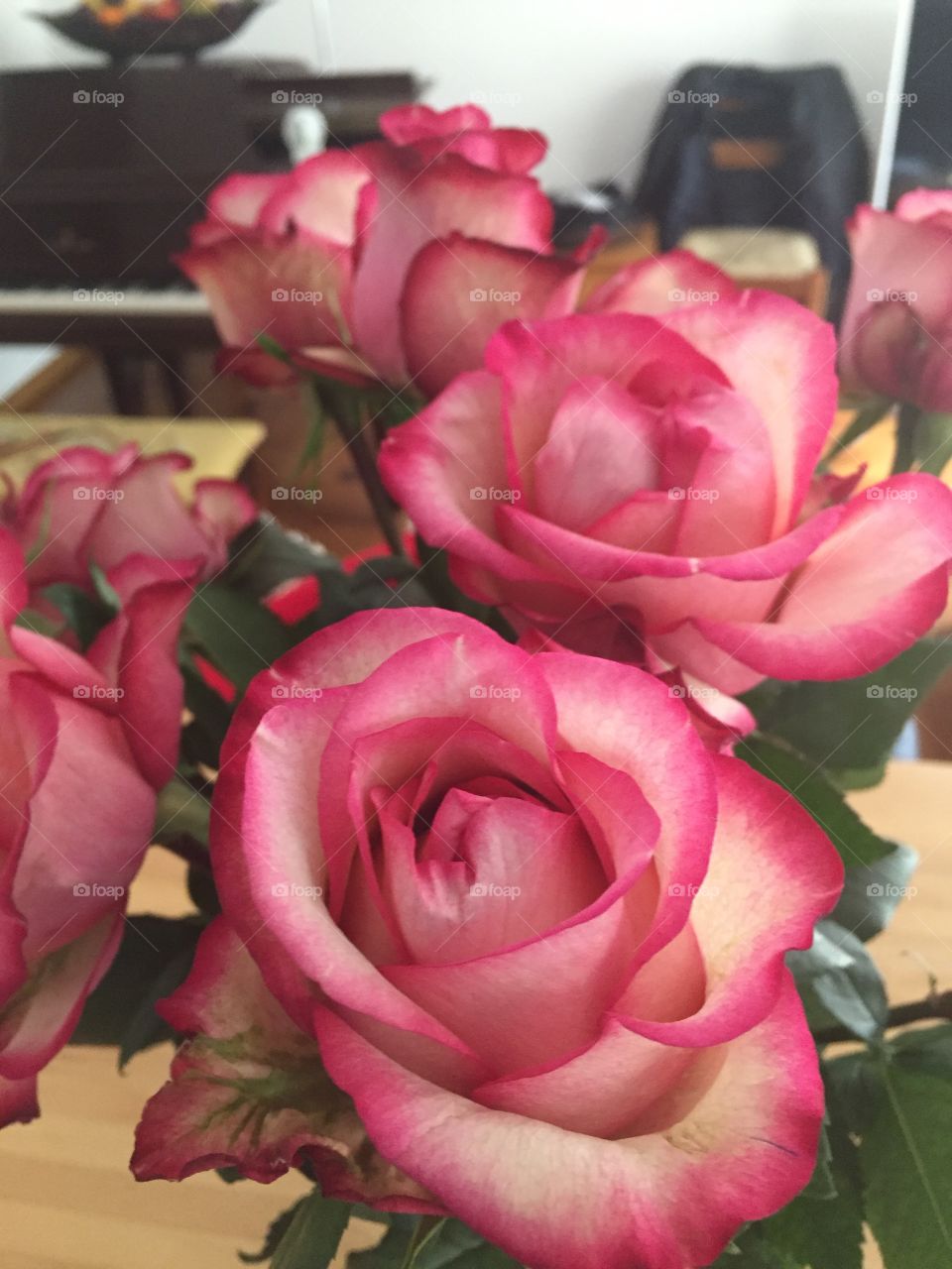 Up Close and Personal