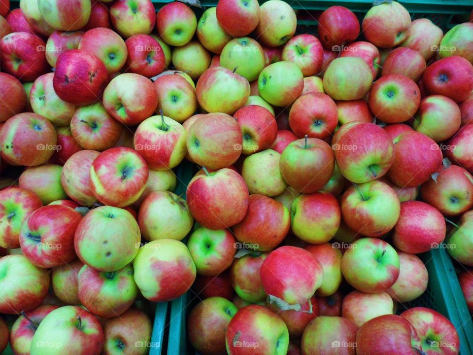 apples on the counter