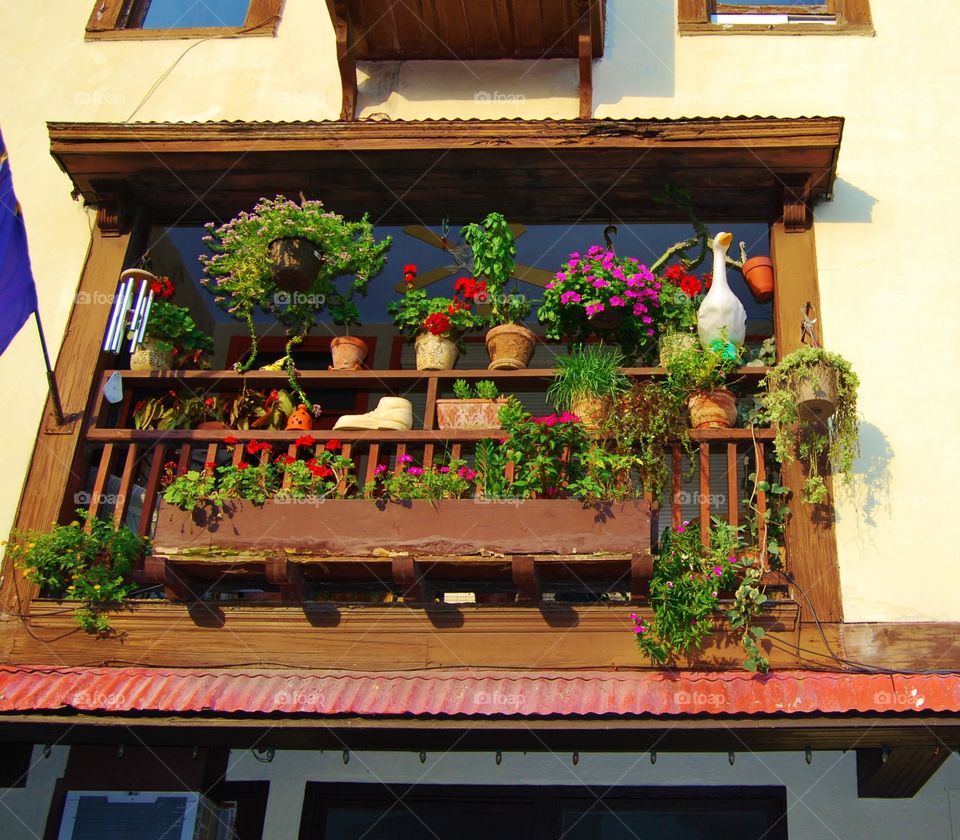 Balcony filled flowers 