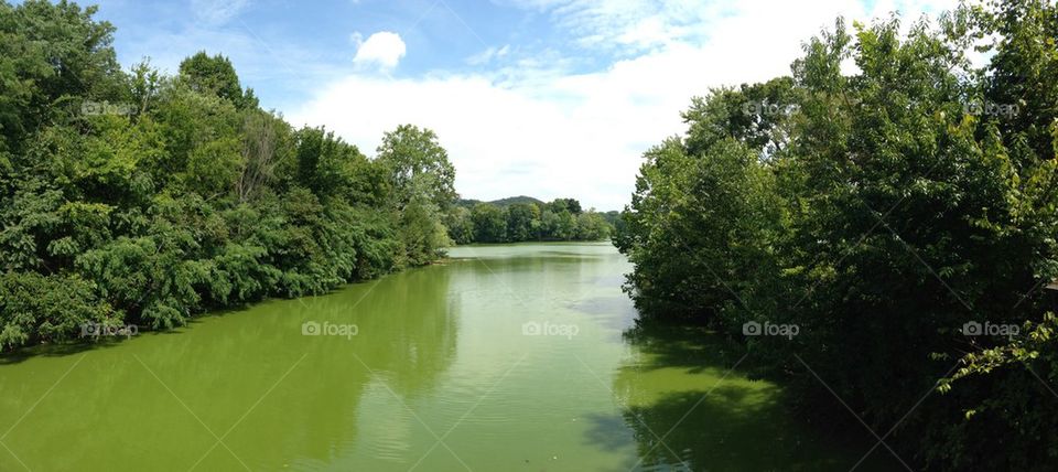 Radnor Lake 