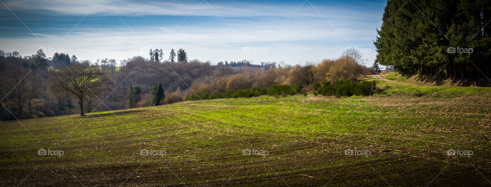 Scenic view of nature