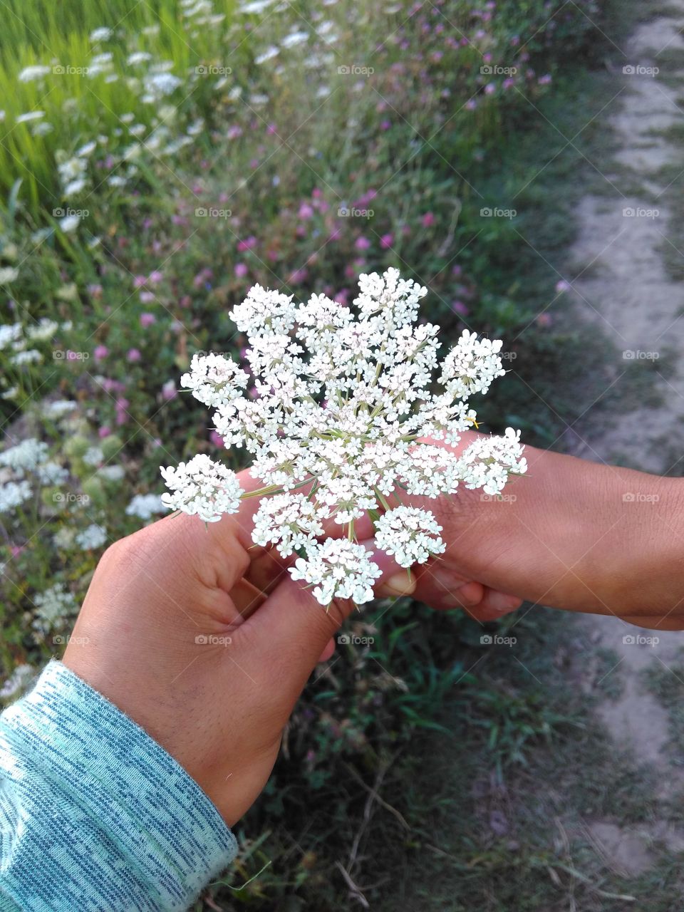 never leave the hands