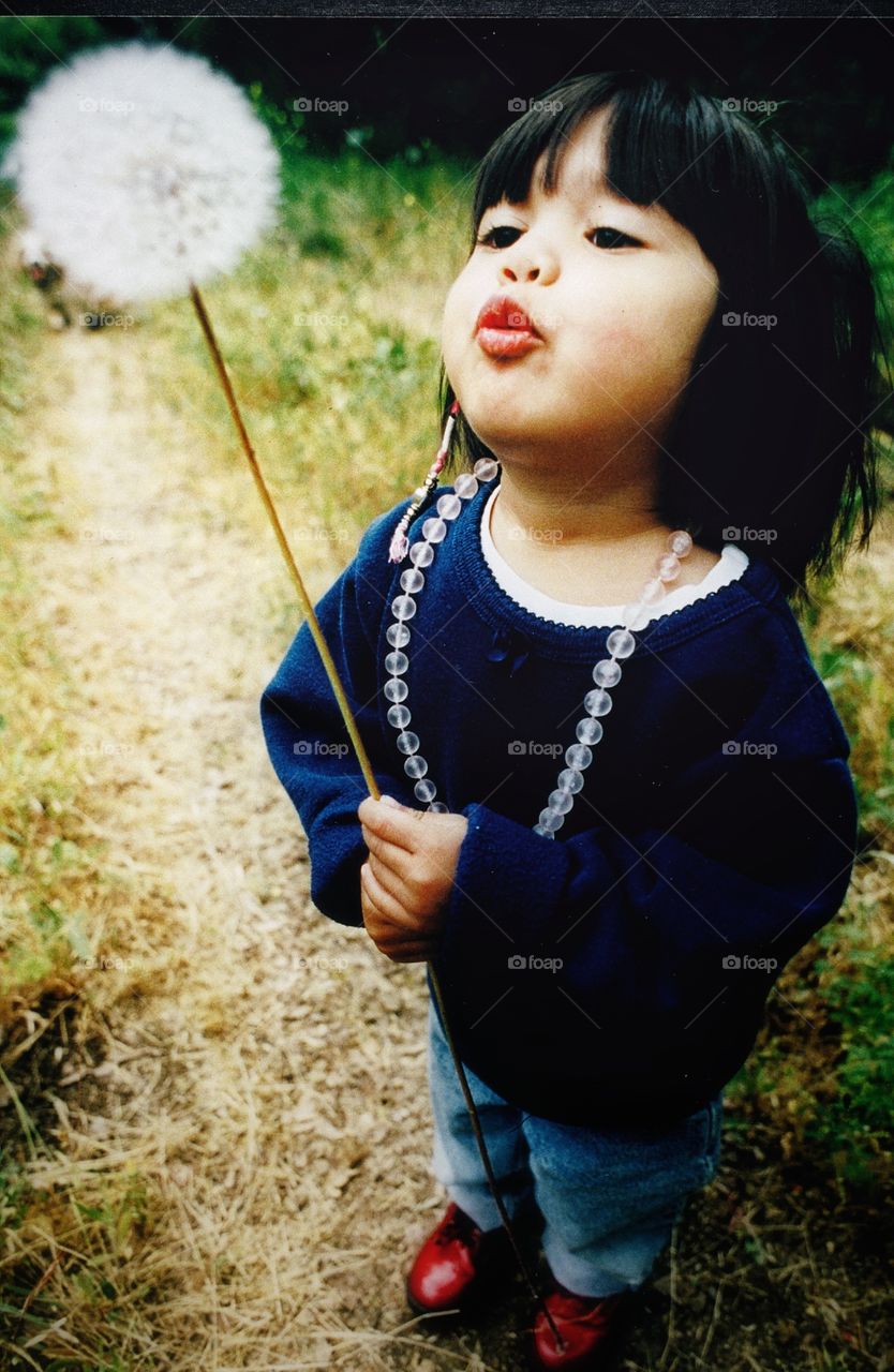 Dandelion. A little girl with red shoes is blowing on a huge dandelion