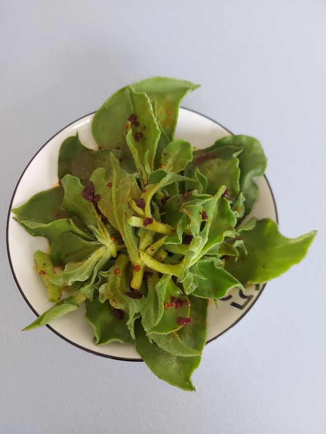 vegetable salad