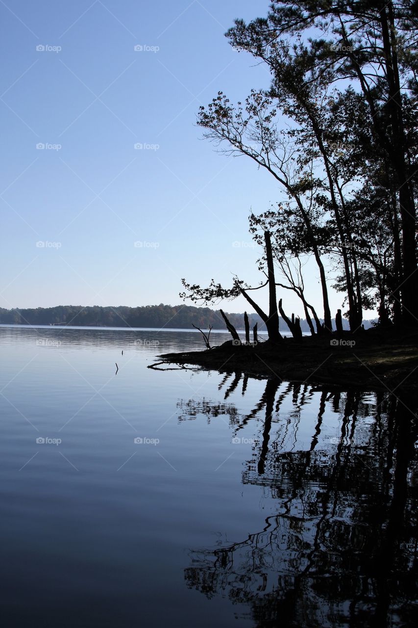 silhouette of trees reflected on the lake.