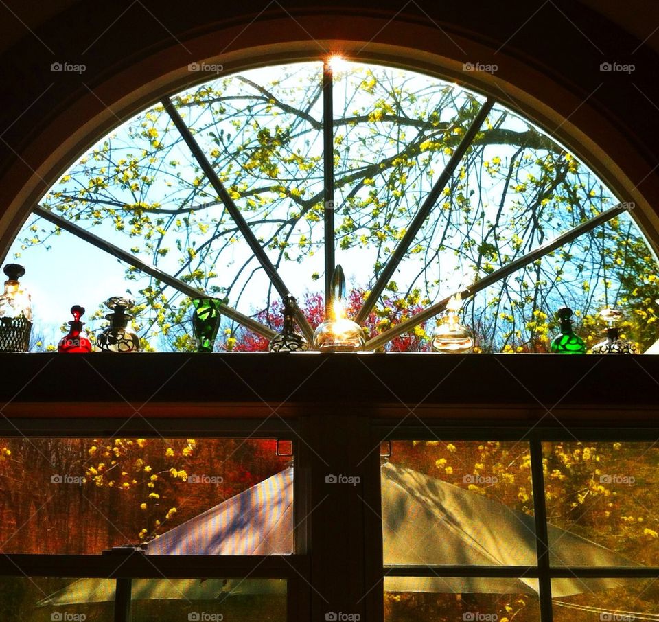 Springtime Window