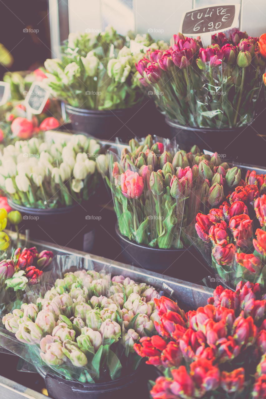 Flower, Bouquet, Tulip, Nature, Florist