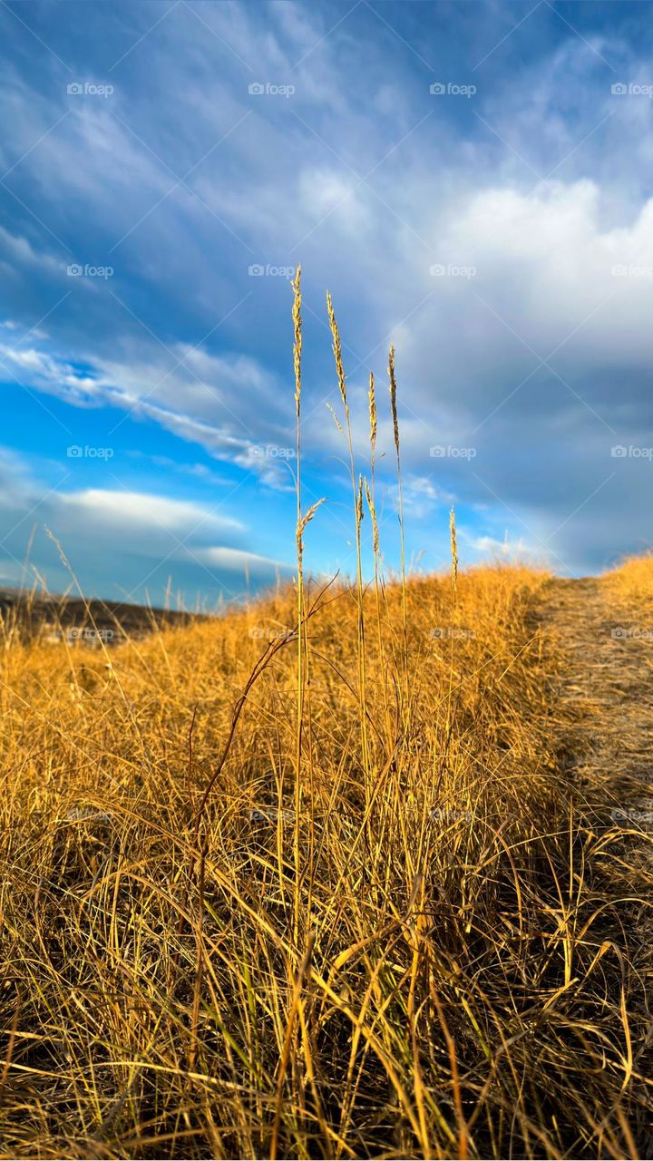 FALL HILL IN THE PRAIRIES 