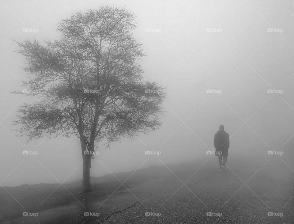 At the park in a beautiful foggy day