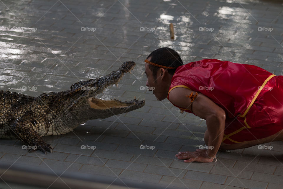 Reptile, Crocodile, People, Water, One