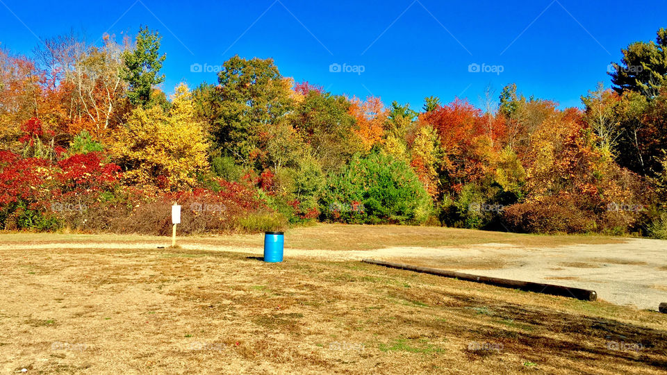 Outdoor park recreation area landscape lined with trees, popping with lush foliage, vibrantly colored leaves in orange, red, green and yellow, set against a clear blue sky background. Autumn season. Fall colors.