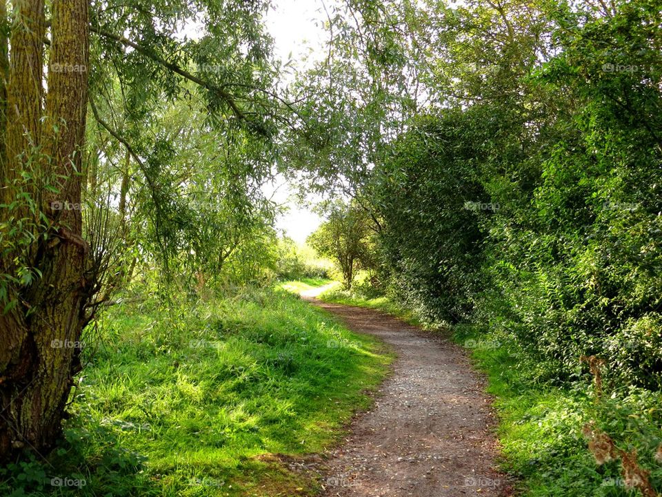 vanishing point