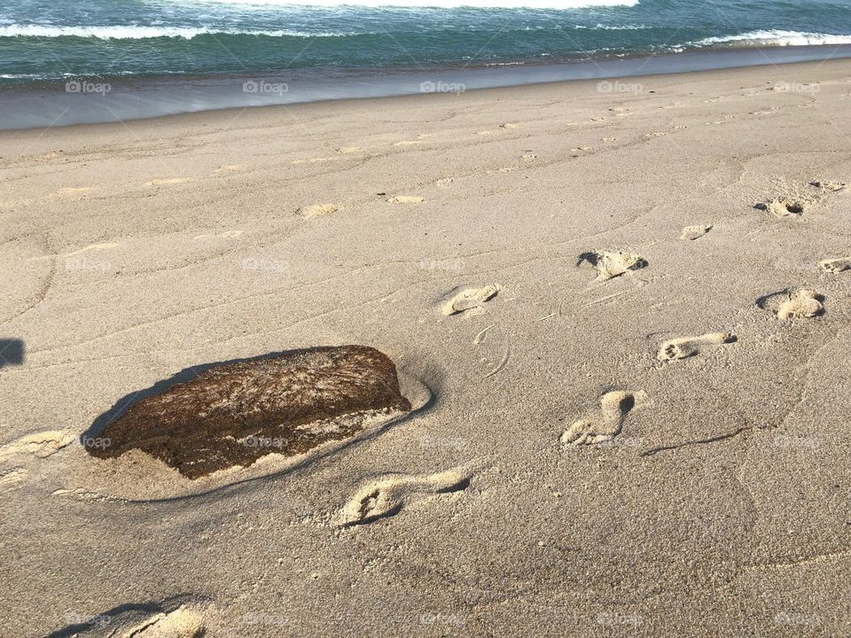 Footprints on Cape Cod