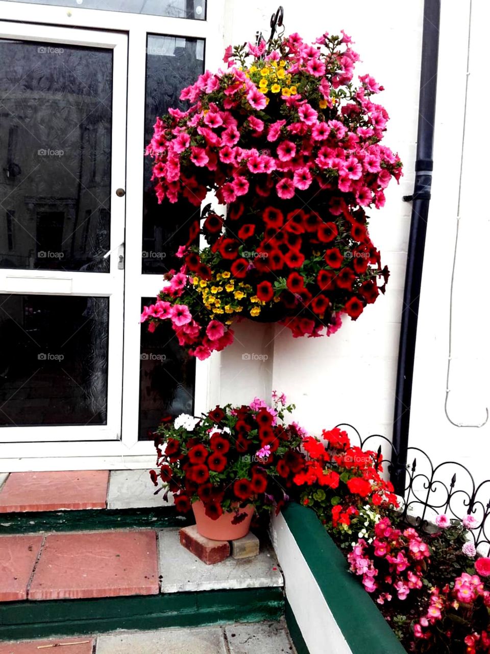 So beautiful flowers front of door nice colourful pink red orange out of home