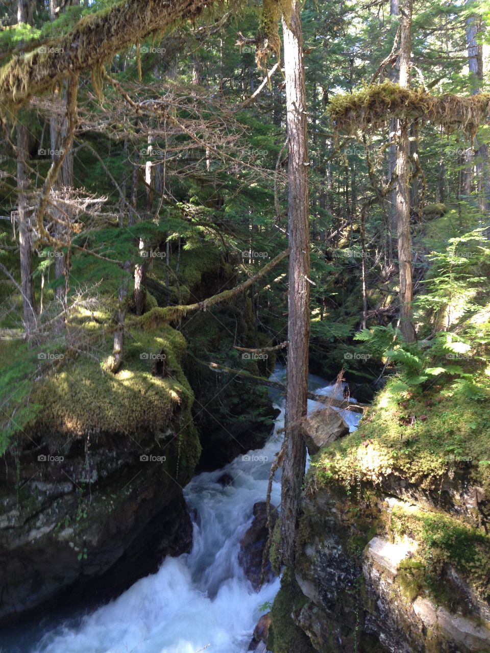 Water, Waterfall, No Person, Wood, Stream