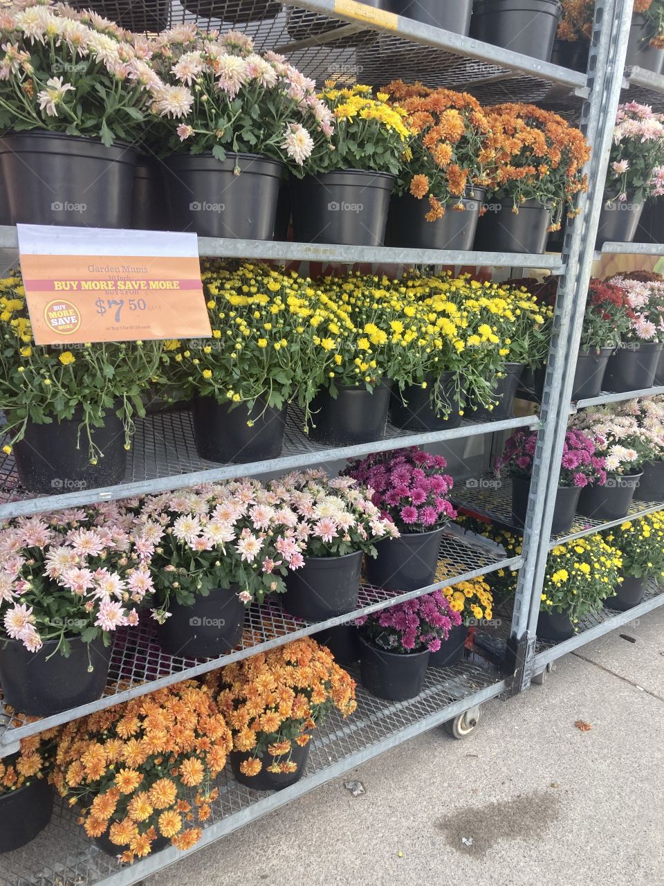 Flowers for sale foodland
