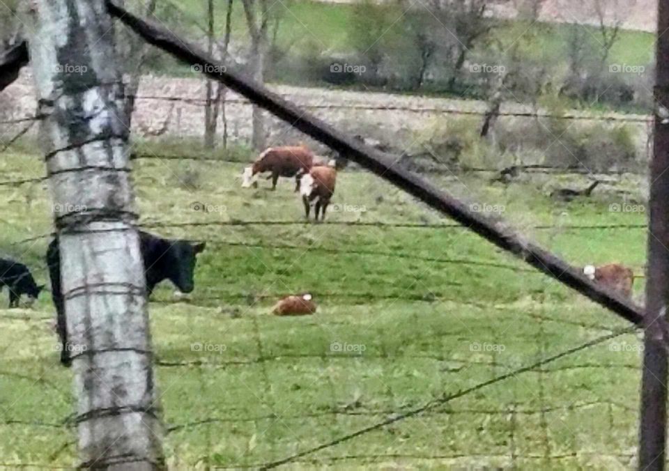 Driving the Back Roads and enjoying everything around us