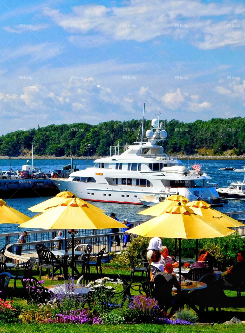 beautiful bright yellow umbrellas 