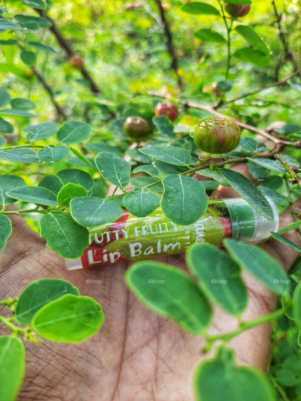 janet tutty fruity natural lip balm and Black Honey Shrub tree