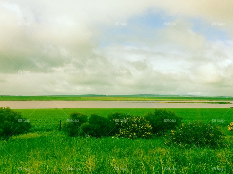 Pink lake in southern Australia where pink salt is harvested in the south Australian outback springtime very green