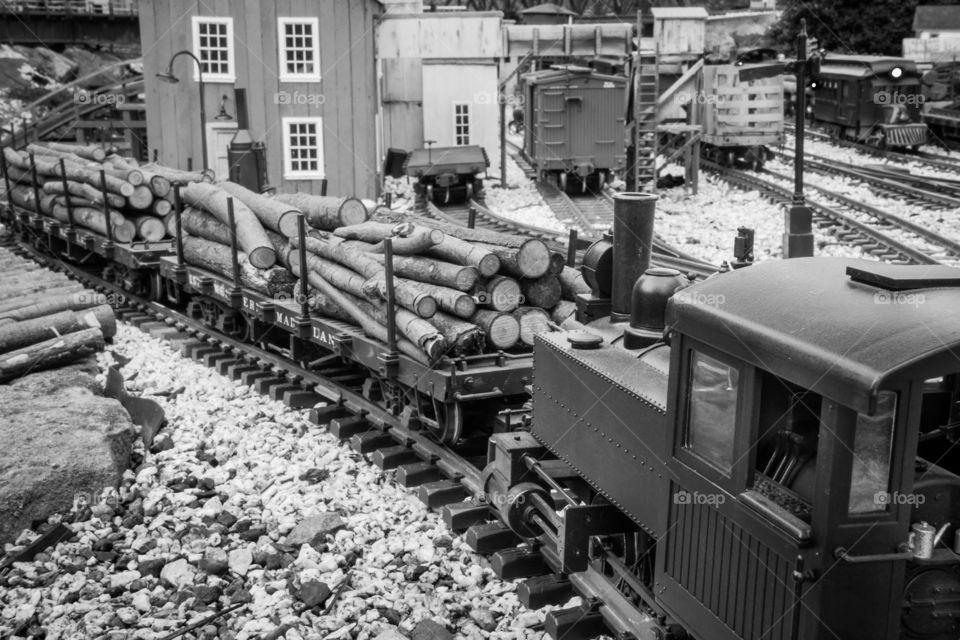 Greenbrier Cheat & Elk garden railway 