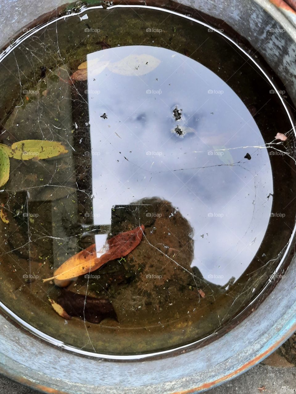 reflection of sky and photographer in water with autumn leaves