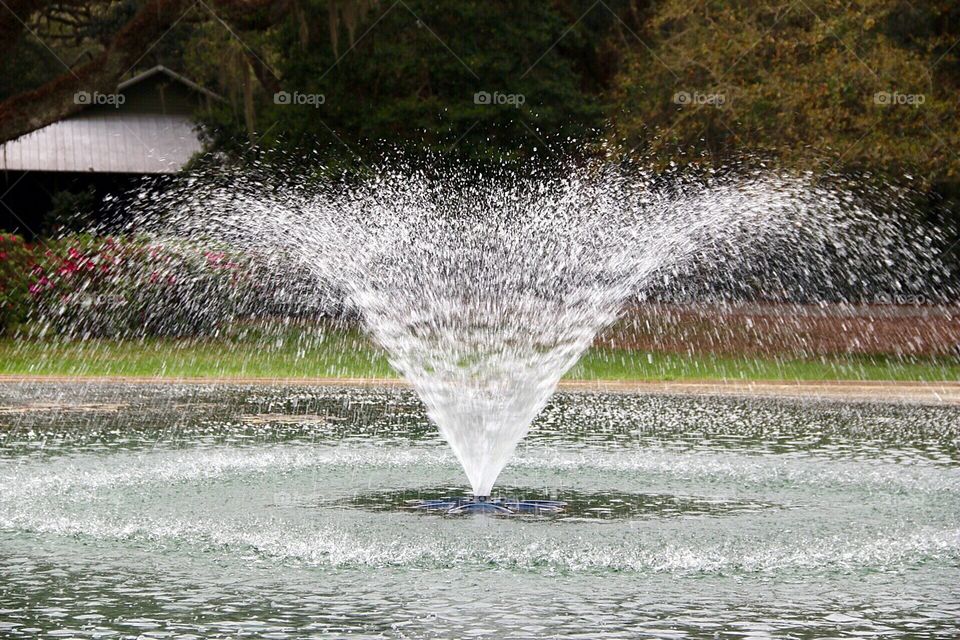 Dancing waters