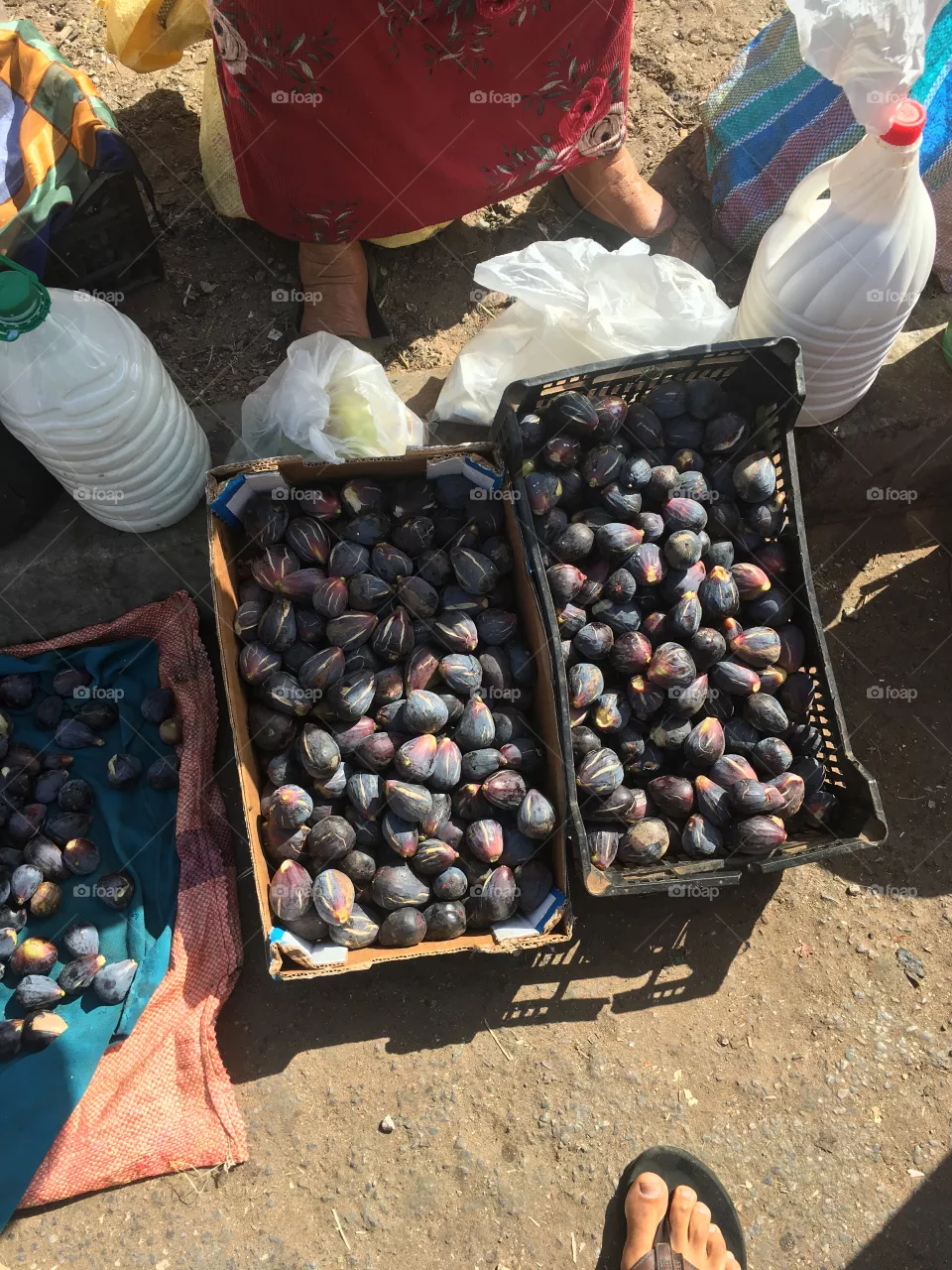 Fresh figs 