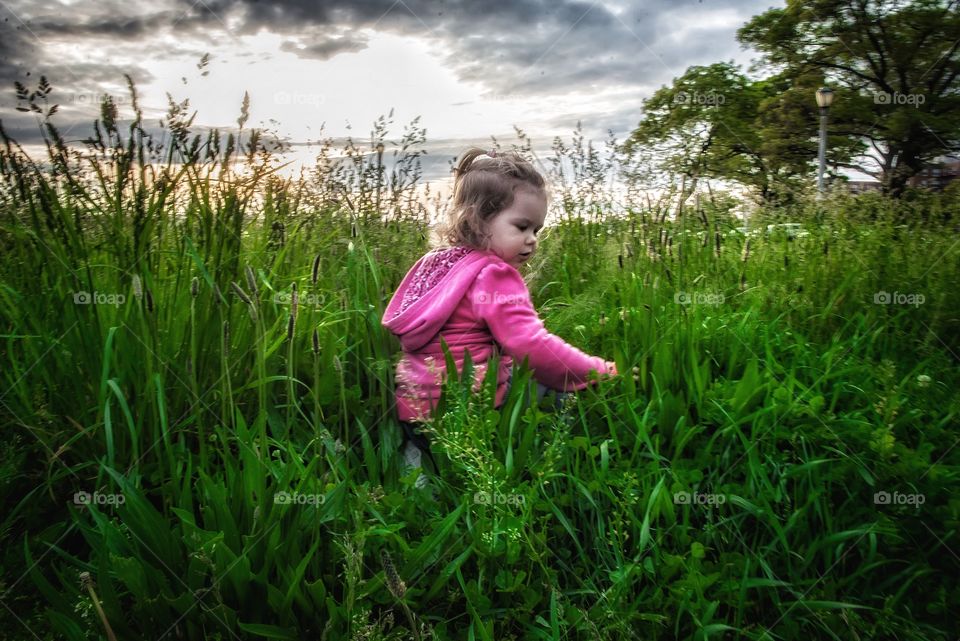 In the grass