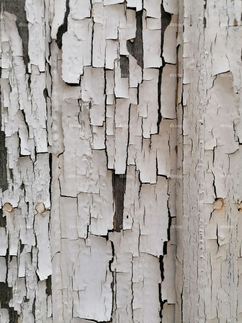 The white paint has worn off the surface of the old wood