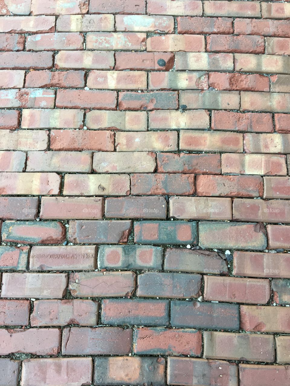 Brick Walkway 
