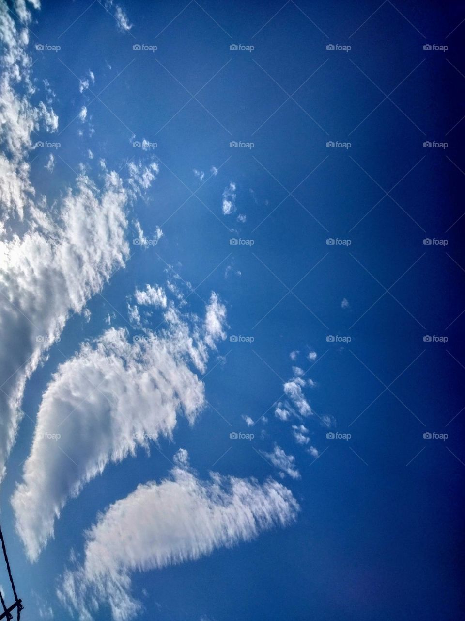 Upload the photo of the month February