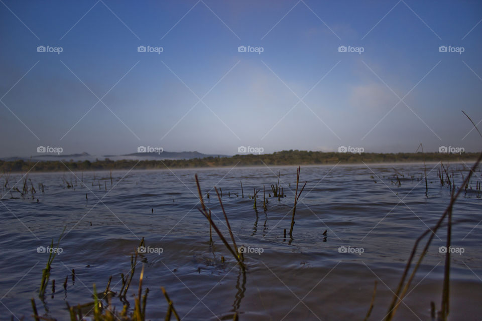 foreground focus on grass from a lake