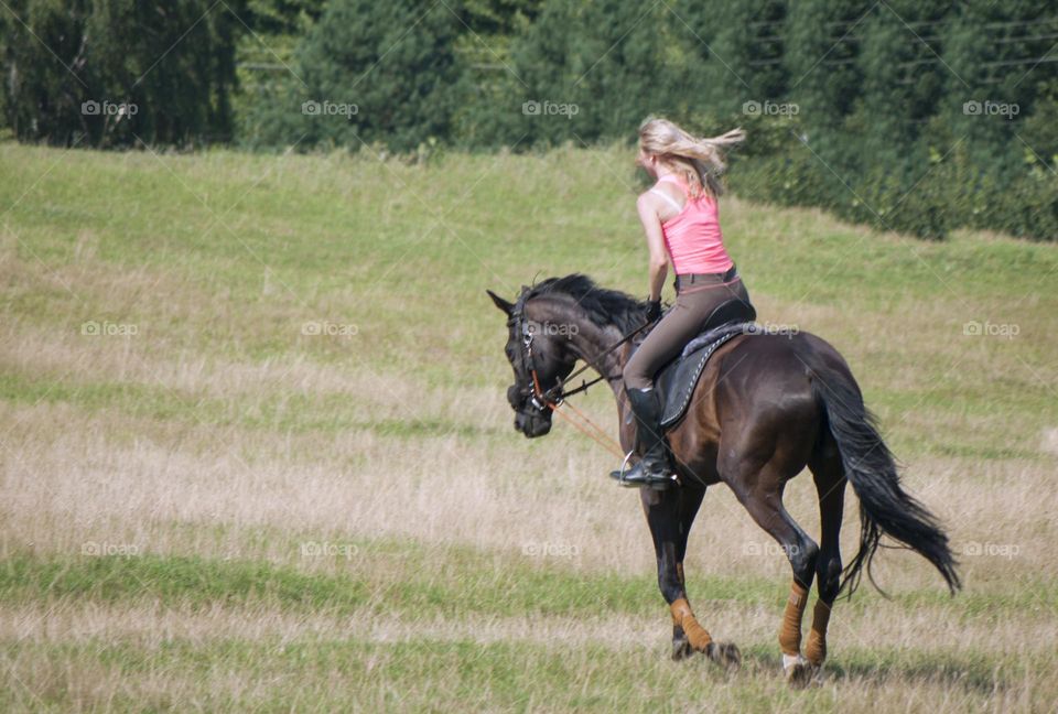 girl at a horse