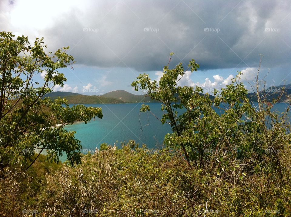 Overlooking the island.