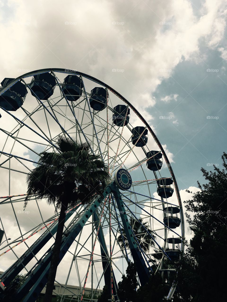 Ferris Wheel