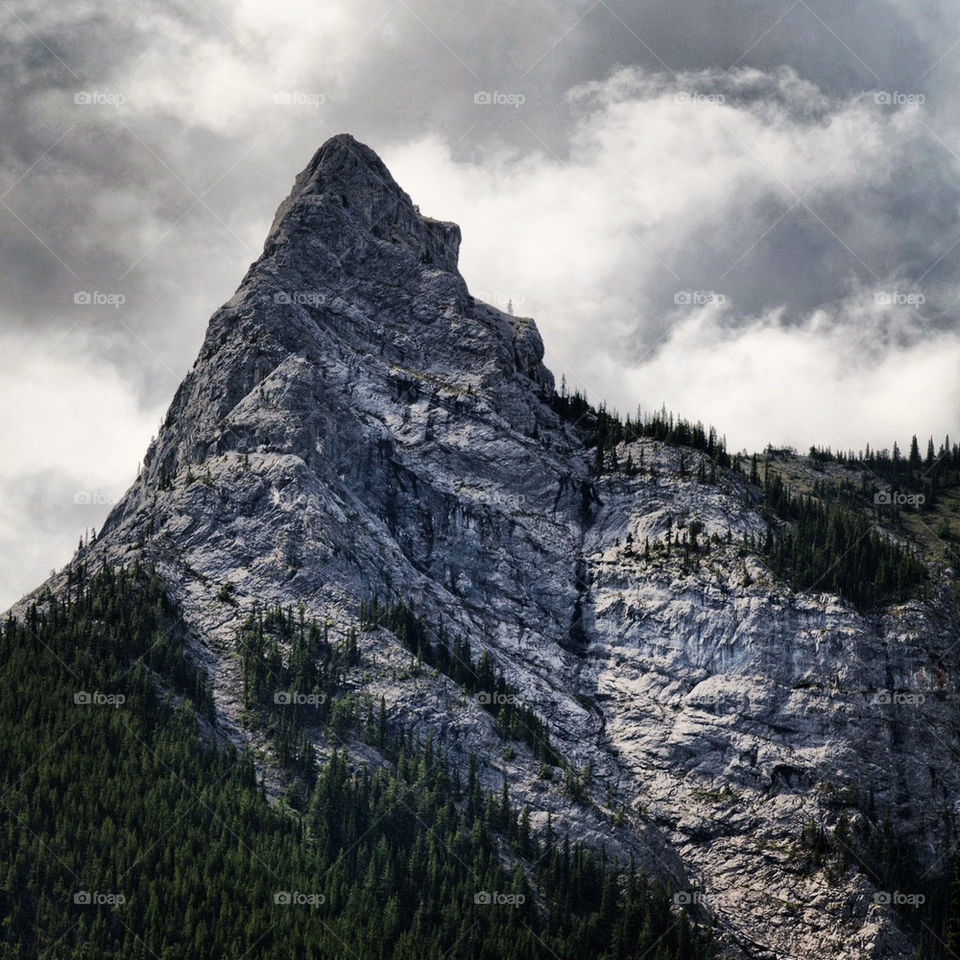 mountain tree cloudy mountains by redrock
