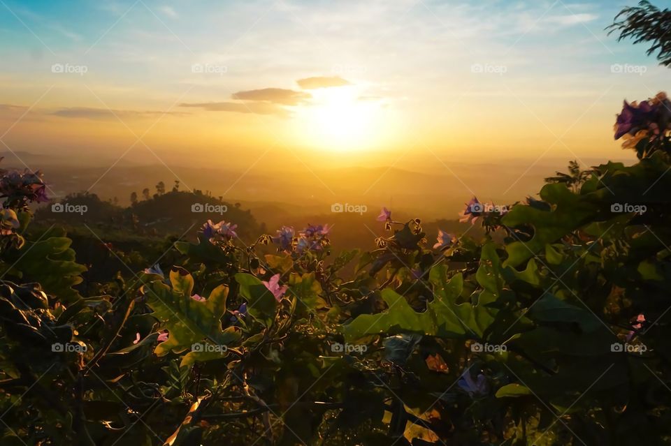 Ungaran mountain 2050 mdpl