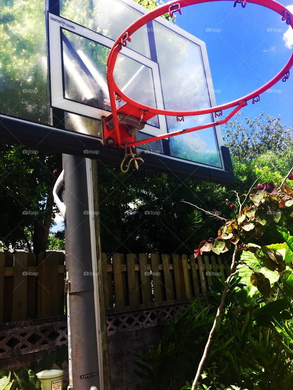 Hoops . A basket ball hoop