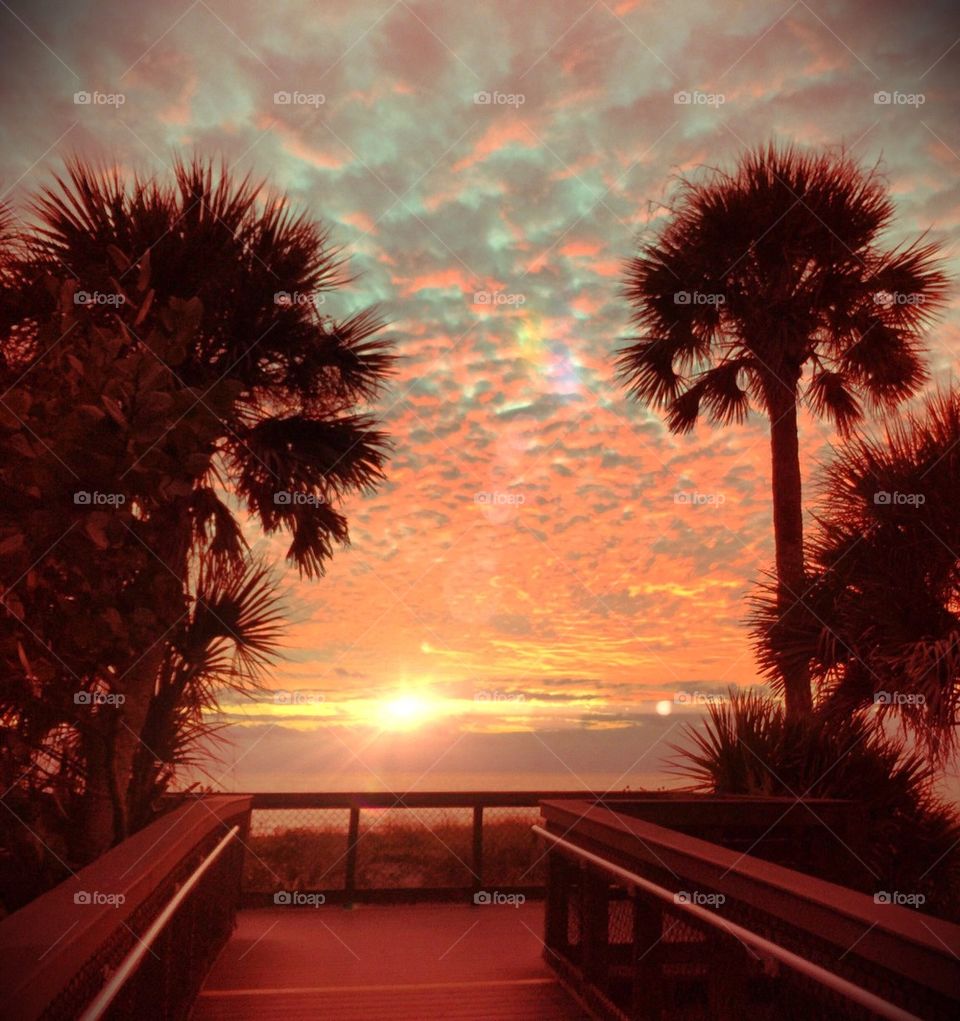 Scenics view of boardwalk at sunset