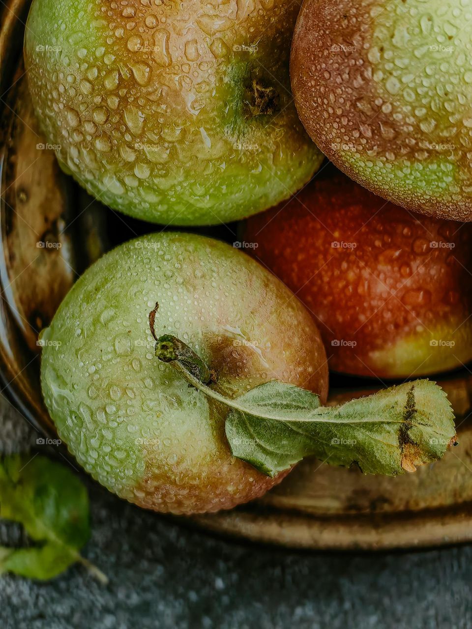 Autumn apple harvest