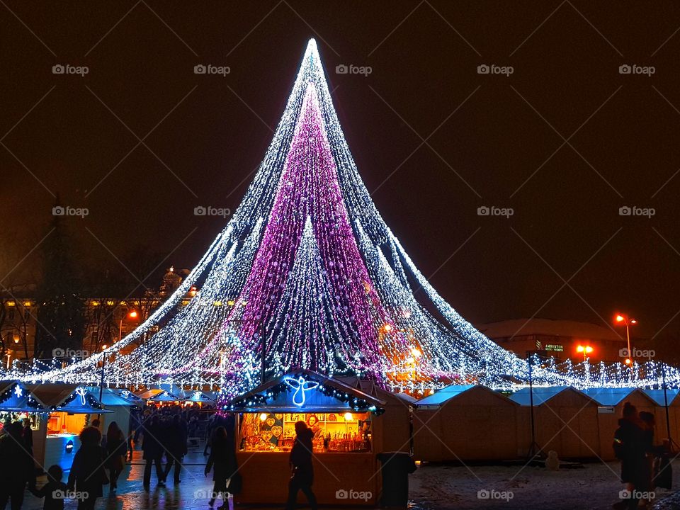 Christmas tree of Vilnius city.