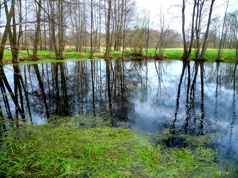 Small lake in the spring
